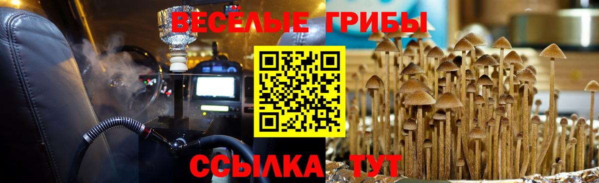 Галлюциногенные грибы мухоморы Надым